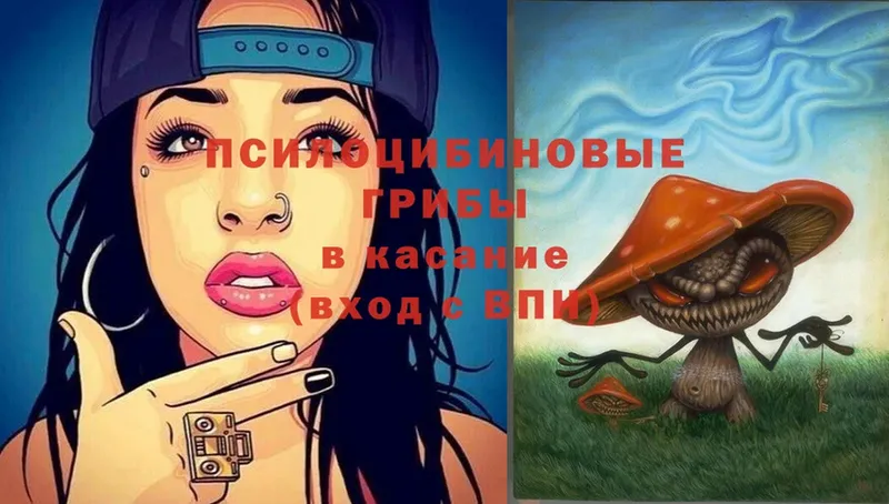 наркотики  OMG ССЫЛКА  Псилоцибиновые грибы Magic Shrooms  Волгоград 