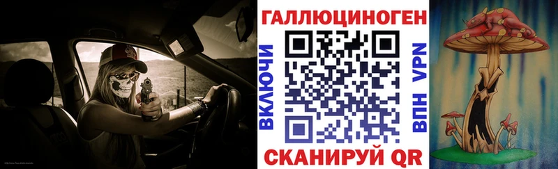 Галлюциногенные грибы Psilocybe  Волгоград 