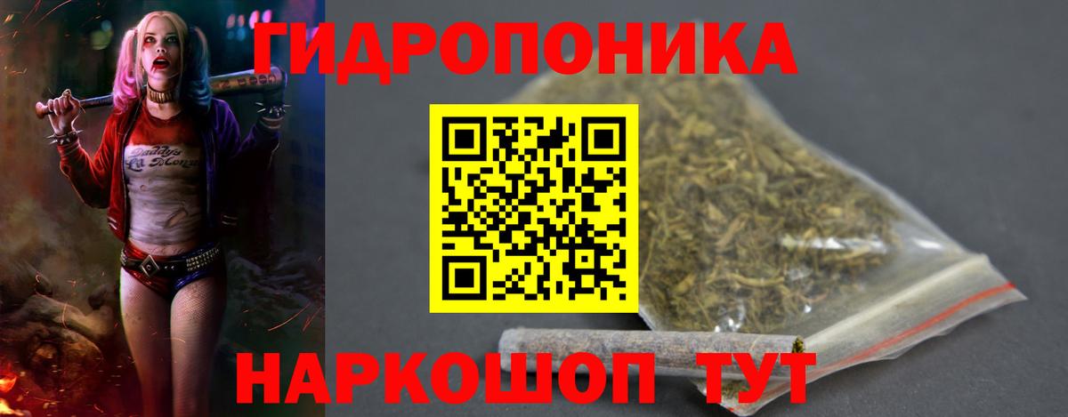 Бошки марихуана SATIVA & INDICA  Канабис индика  Марихуана гибрид  Вход с VPN  Волгоград  Канабис VHQ 